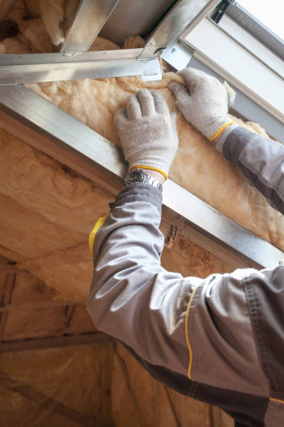 Trusted Hampton, GA Insulation Contractor Experts