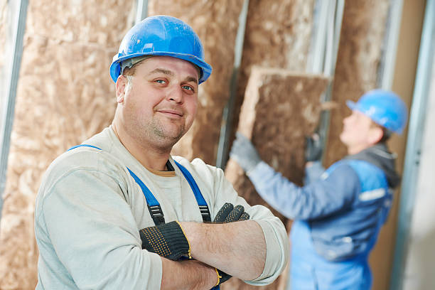 Best Cellulose Insulation in Hampton, GA